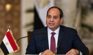 Following the achievement of Egypt's goals in Vision 2030, Egypt decides to launch the (Egyptian Family Development) campaign.