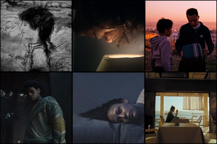 Six MAD Shorts heading to the Toronto Arab Film Festival